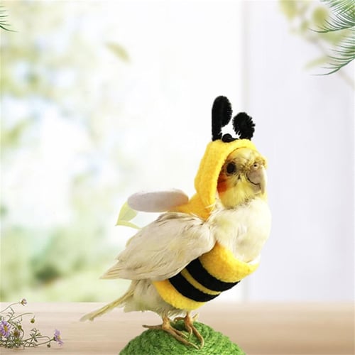Clothes for parakeets clearance