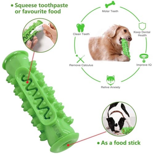Dog brushing stick reviews sale