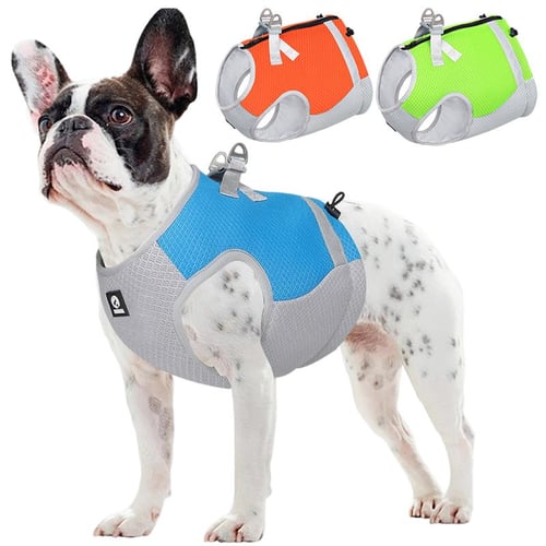 Pet Cooling Vest for Small Medium Dog Harness Vest Puppy Clothes