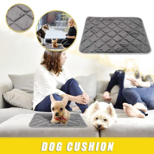 Self heating outlet pet mat reviews