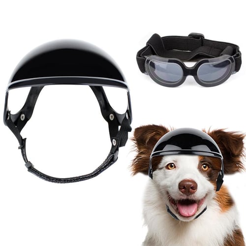Chihuahua motorcycle goggles top