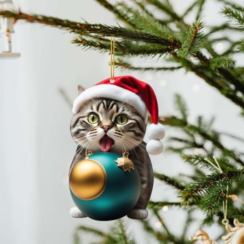 Kitten santa hat new arrivals