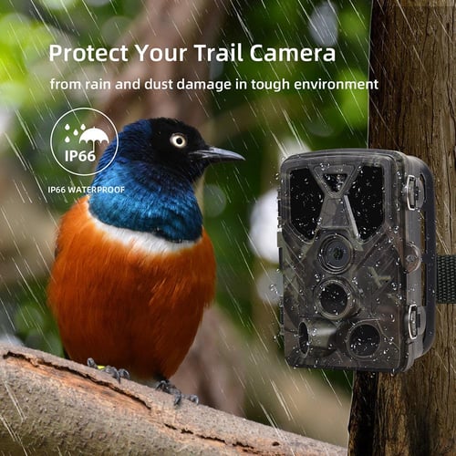 Hunting cameras with store wifi