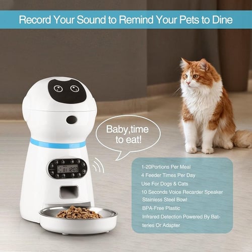 Cat timer food bowl online
