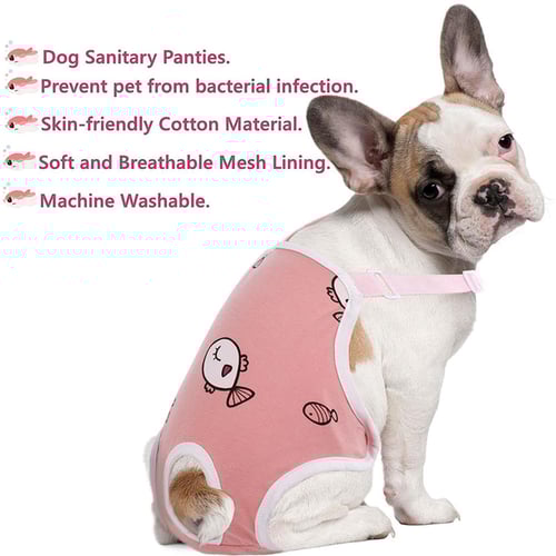 Panties for female dogs new arrivals