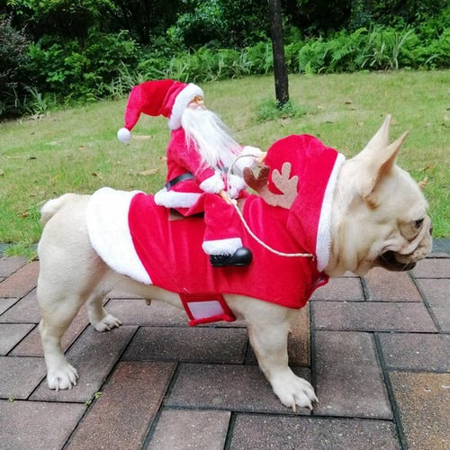 Christmas clothing hot sale for dogs