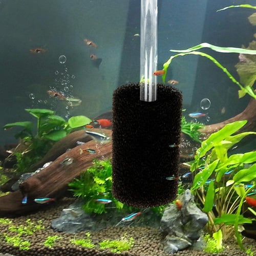 Aquarium filter supplies hot sale