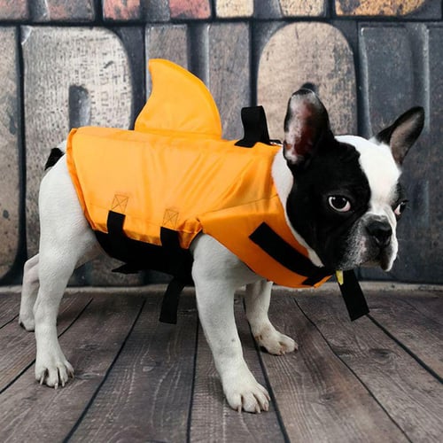 Dog's life best sale clothing