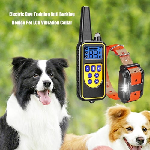 Electric dog control sales