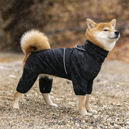 Dog raincoat labrador hotsell