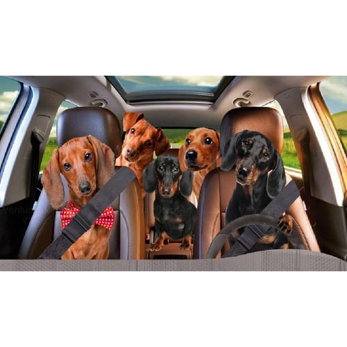 Dachshund car deals sun shade