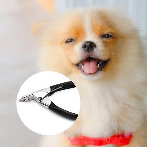 Dog Cat Nail Clippers Pet Nail Clippers Dog Toes Cutter Grooming