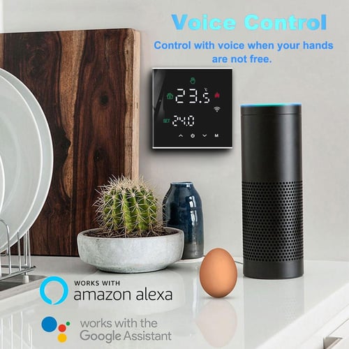 Alexa boiler online control