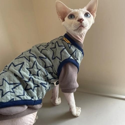 Devon rex clothes online