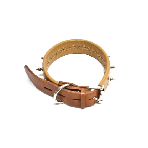 Prong top collar reviews