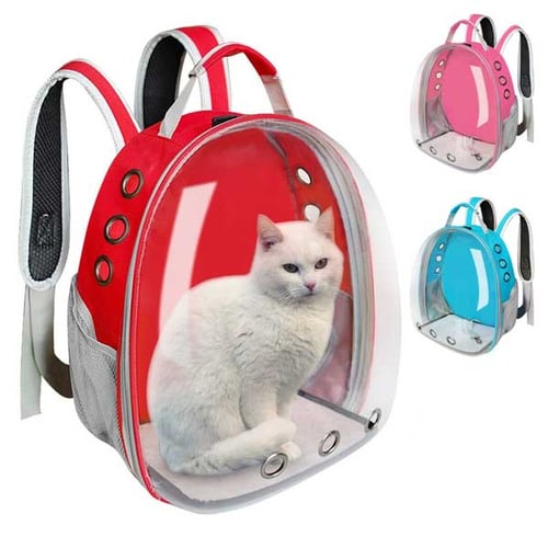 Cat pack backpack shop