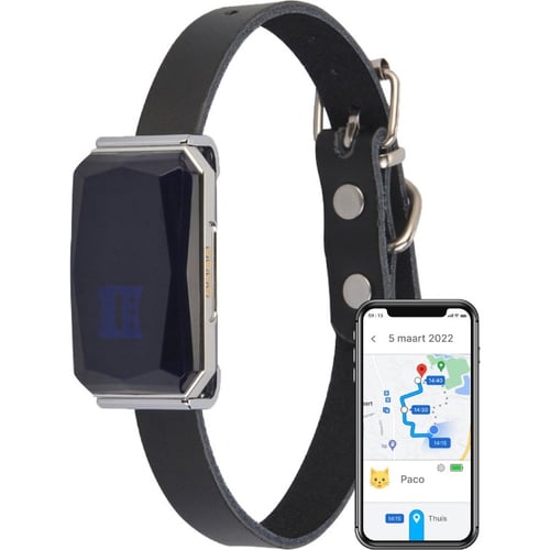 Pet store finder collar
