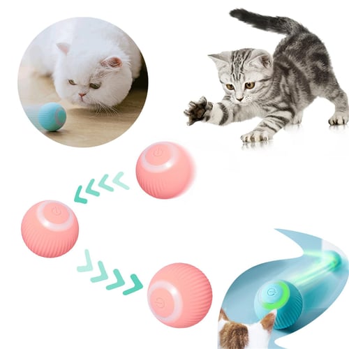 Clever cat outlet toys