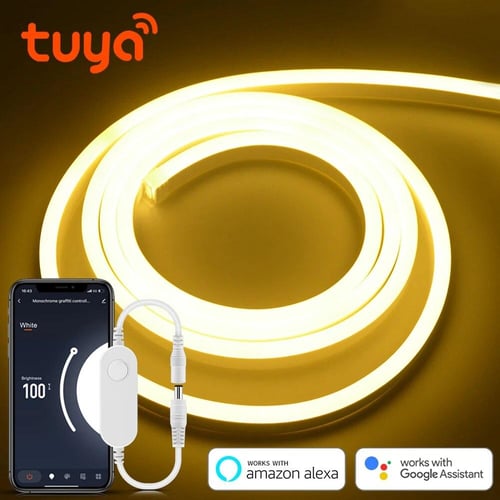 12V WIFI Neon Light LED Strip Tuya Smart Life Lamp With Push