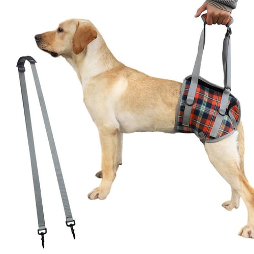 Pet Dog Leg Support Sling Adjustable Retractable Breathable Lift Harness  For Eldery Dogs Injured Rear Leg - buy Pet Dog Leg Support Sling Adjustable  Retractable Breathable Lift Harness For Eldery Dogs Injured