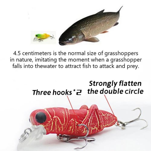 55Mm 3.5G Insect Bionic Grasshopper Artificial Minnow Lure Fishing