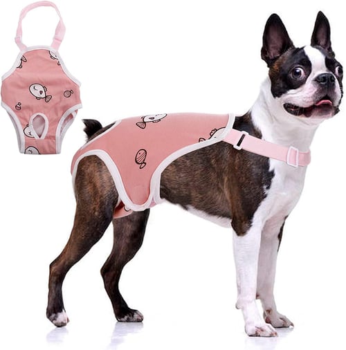 Dog menstruation pants best sale