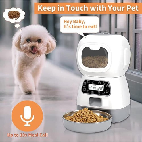 Metal automatic dog clearance feeder with timer