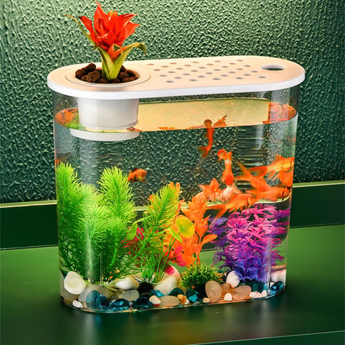 Bowl fish tank decorations best sale