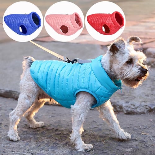 Coats for outlet yorkies