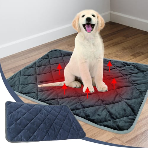 Heated dog outlet blanket