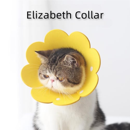 Cat Recovery Collar Soft Cat Cone Collar Pet Cones for Cats Pet Collar  Adjustable Sunflower Elizabeth Collar Postoperative Protection Soft for Cats  - buy Cat Recovery Collar Soft Cat Cone Collar Pet