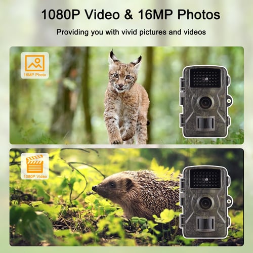 trail game camera 16mp 1080p