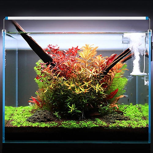 Fish Tank Aquatic Plant Grow Lighting Aquarium LED Light Clip Lamp