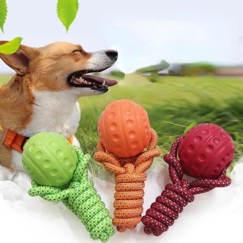 Dog training store ball on string