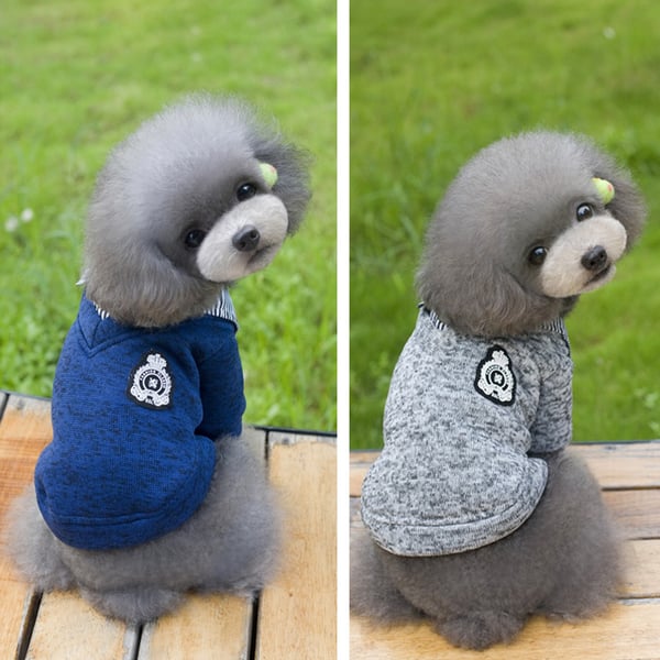 3 legged dog sweater