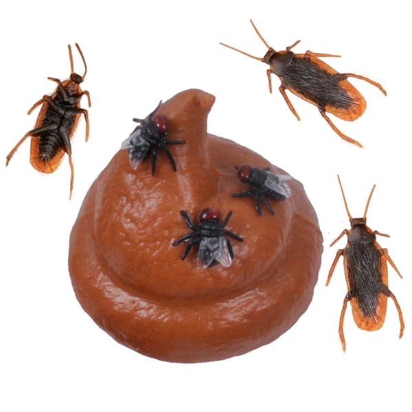 Simulation Poop Fly roach Funny Joke Tricky Decompression Toy Kids Adult  Gift - buy Simulation Poop Fly roach Funny Joke Tricky Decompression Toy  Kids Adult Gift: prices, reviews | Zoodmall