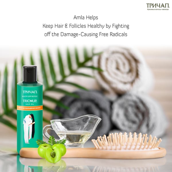 Hair Fall Control oil Trichup 100ml - buy Hair Fall Control oil Trichup 100ml: prices, reviews | Zoodmall Hair Fall Control oil Trichup 100ml - buy Hair Fall Control oil Trichup 100ml: prices, reviews | Zoodmall