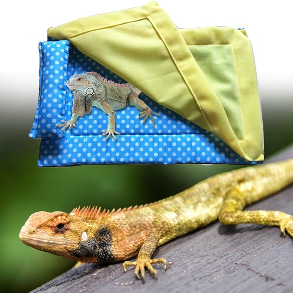 Eco-friendly Bearded Dragon Reptile Sleeping Bed with Pillow Keep Warm ...