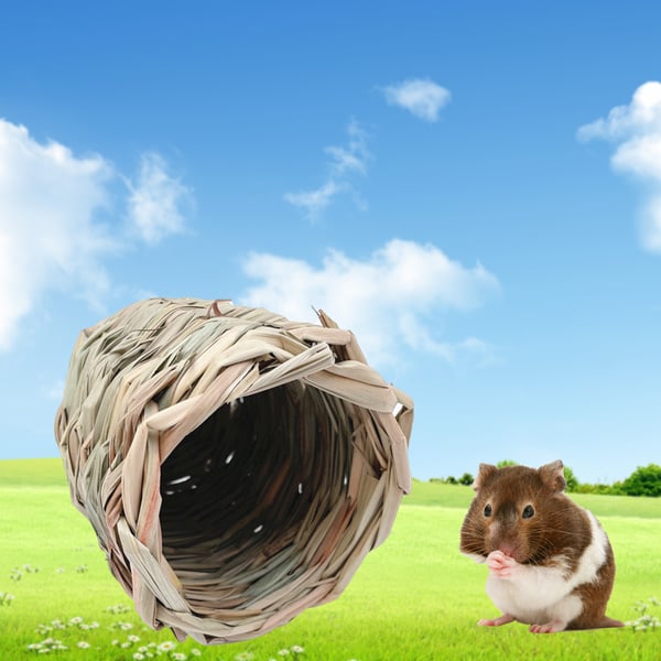 Soft Rat Tunnel Toy Small Animal Nest Breathable Pet Landscaping Guinea Pig  Cage - buy Soft Rat Tunnel Toy Small Animal Nest Breathable Pet Landscaping  Guinea Pig Cage: prices, reviews | Zoodmall