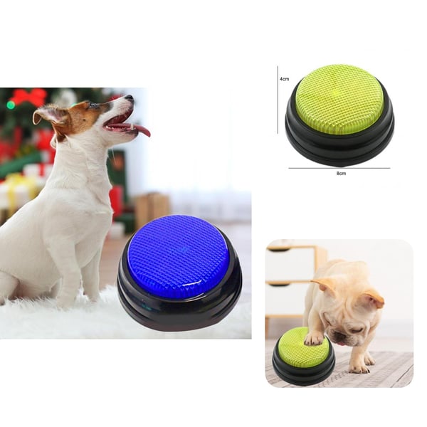 Answer Buzzer Entertain Funny Voice Recording Pet Training Buzzer 4