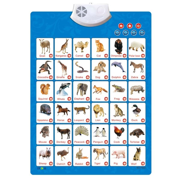 Electronic Interactive Alphabet Wall Chart, Talking ABC & 123s & Music  Poster - buy Electronic Interactive Alphabet Wall Chart, Talking ABC & 123s  & Music Poster: prices, reviews | Zoodmall