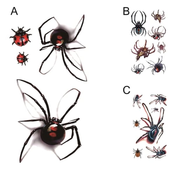 Waterproof Tattoo Sticker 3D Effect Ultra Thin Fashion Design Temporary Spider Body Art Sticker for Unisex - buy Waterproof Tattoo Sticker 3D Effect Ultra Thin Fashion Design Temporary Spider Body Art Sticker Waterproof Tattoo Sticker 3D Effect Ultra Thin Fashion Design Temporary Spider Body Art Sticker for Unisex - buy Waterproof Tattoo Sticker 3D Effect Ultra Thin Fashion Design Temporary Spider Body Art Sticker